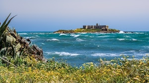 isola, mare, onde, erba, fiori, azzurro, cielo, agave, piante, verde, faro, acqua, schiuma, costruzione, giallo, gialli