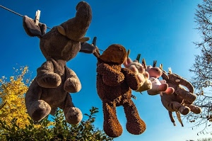 mollette, pupazzi, alberi, azzurro, cielo, appesi, filo, animali, giocattoli, peluche, elefante, foglie, peluches, bucato, verde, elefantino, asciugatura, stesi, elefanti, rami