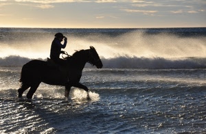 mare, cavallo, onde, acqua, controluce, vento, cielo
